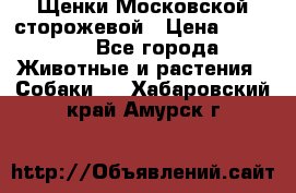 Щенки Московской сторожевой › Цена ­ 35 000 - Все города Животные и растения » Собаки   . Хабаровский край,Амурск г.